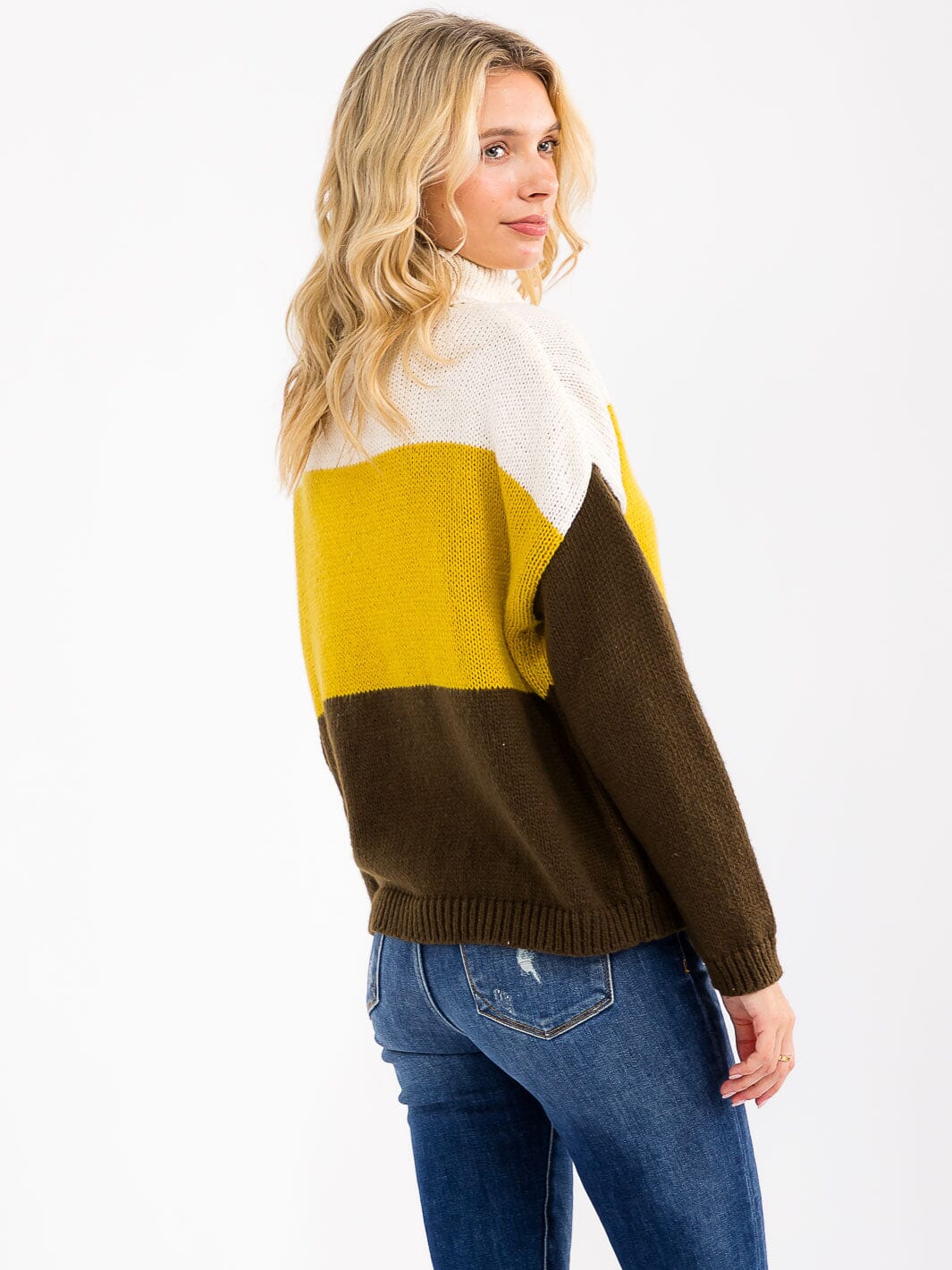 Women's Long Sleeve Turtle Neck Color Block Knit Sweater