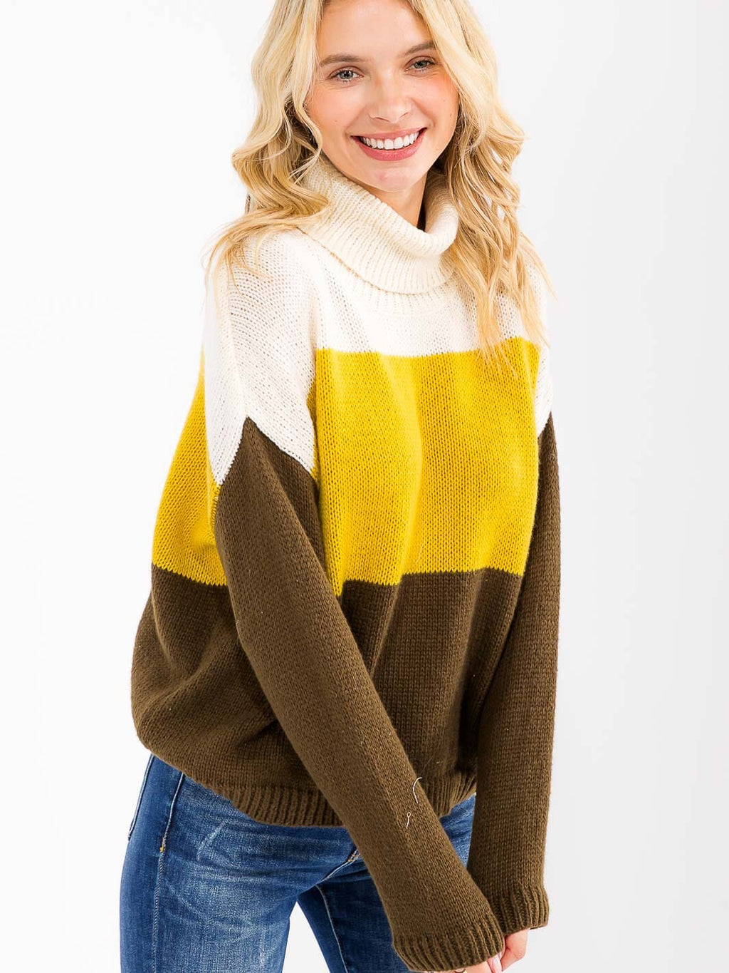 Women's Long Sleeve Turtle Neck Color Block Knit Sweater